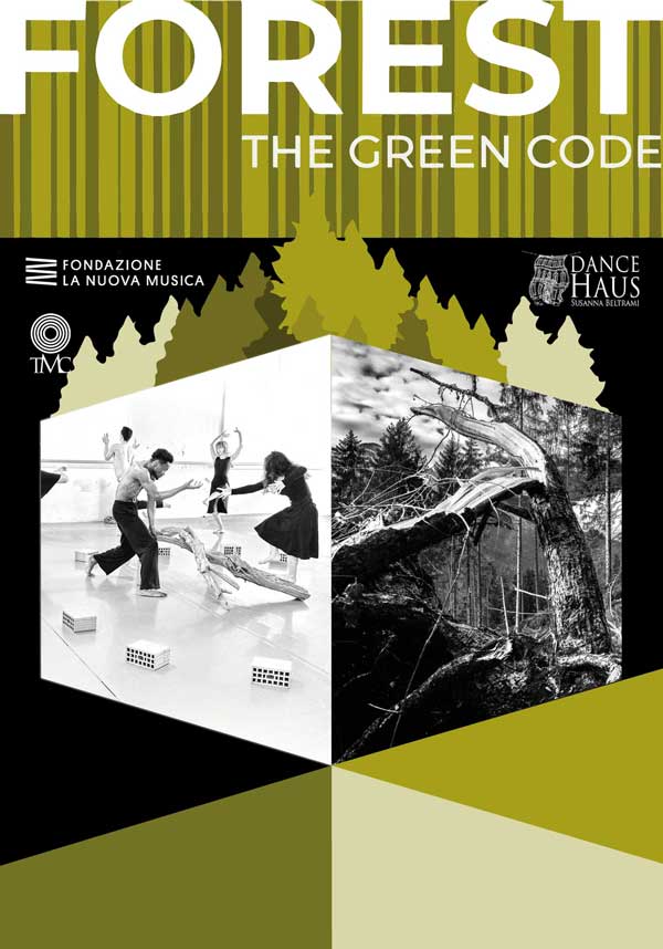 forest 2024