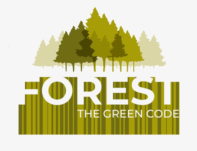 Scopri di più sull'articolo FOREST, the green code